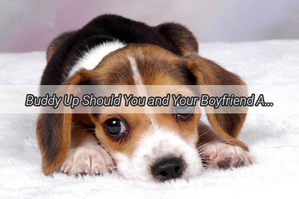 Buddy Up Should You and Your Boyfriend Adopt a Dog Together